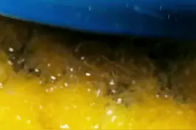 小科抖：试试橘子煮水！ 专家：橘子糖盐水更适合目前新冠图片