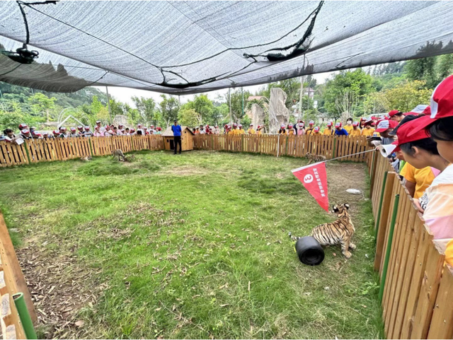 四川省民生研究会新媒体中心-官网