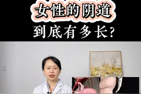 女性的阴道到底有多长？图片