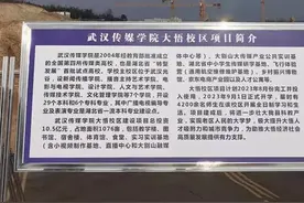 2018年大悟引进两大学，一所今年九月开学，一所撤资不建图片