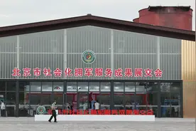 北京市社会化拥军服务平台上线，军人、军属可享多项惠军权益图片