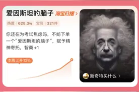 “爱因斯坦的脑子”销量百万：无聊，在淘宝上也被发展成了一门生意图片