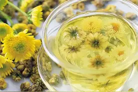 爱喝菊花茶的，别再直接泡了，3种神仙搭配，鲜甜甘美更上一层楼图片