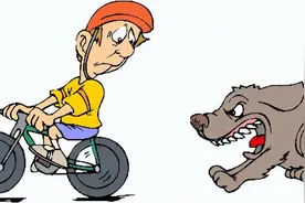 路遇恶狗怎么办？预防狂犬病爆笑指南图片