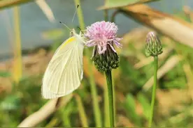 如果数字会说话，一个关于人生的数字学问图片