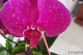 词性之二 动词图片