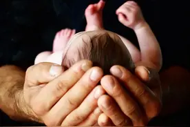 香港查获1500血液样本，疑与“寄血验子”有关，内地人为何要验子图片