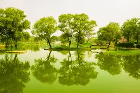 迷人的暗香，浮动依旧，清浅适度图片