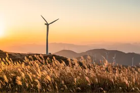 时评：携手打造更加紧密的中俄能源合作伙伴关系图片