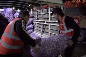 2000吨大理紫皮大蒜搭乘“爱心助农”活动上网 这么买最划算图片