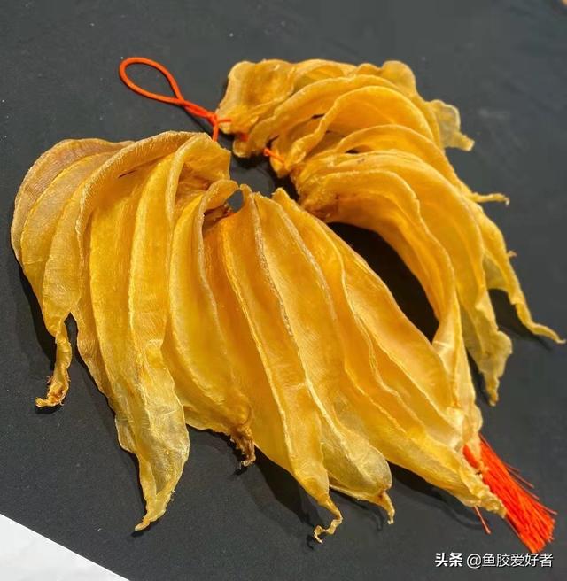 南澳本港赤嘴的功效 南澳本港赤嘴鱼胶