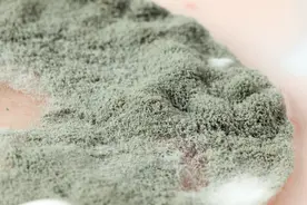 远离夏季最毒的食物！沾上致命！一家9口中招，血的教训别再犯~图片
