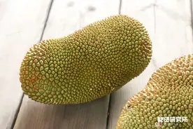 尝过“榴莲蜜”之后，爱榴莲和爱菠萝蜜的都沉默了图片