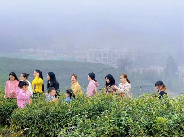 四川省民生研究会新媒体中心-官网