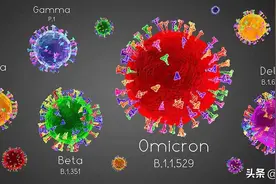 盘点新冠病毒和它的变异株图片