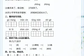 二年级下册《语文园地》基础巩固+能力提升训练图片