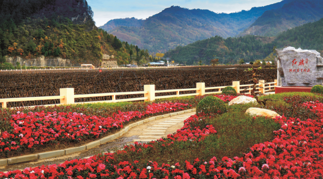 四川省民生研究会新媒体中心-官网