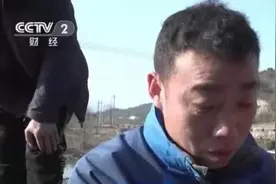 “千里之堤，毁于蚁穴”，浙江一大坝挖出超百万只白蚁！图片