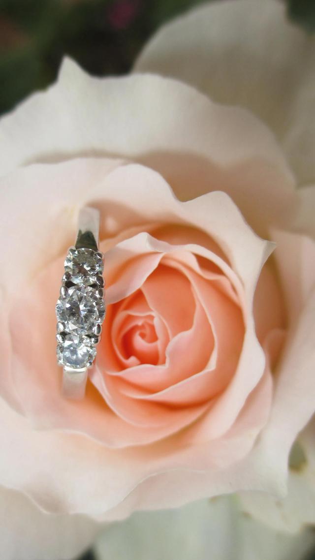 情人节花束图片,情人节红玫瑰最低12元一枝 "小兔子花束"成新宠 - 冷