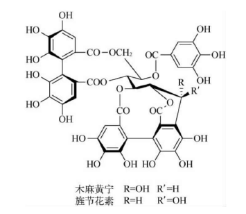 植物功效成分-鞣质