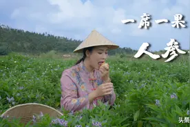 一席一果（十九）吃不到八戒同款，来试试石林“水炸弹”人参果图片