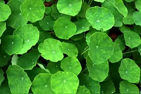 春季羽毛球，这些事项你注意了吗？图片