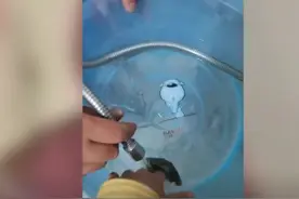 江苏8岁男孩逗乌龟结果被咬住不放，疼的直哭，爸爸一招搞定图片