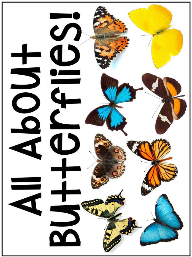 С��ѧ��̽��ϵ��֮���ں��������׻�زİ�