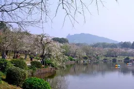 春困秋乏夏打盹，睡不醒的冬三月图片