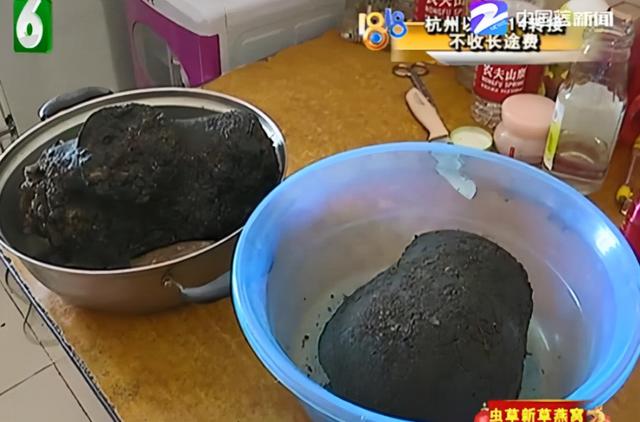 形成于4万年前、不是植物不是肉，价值千万的太岁究竟什么来头？