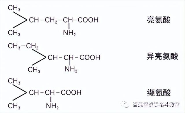 鐪熺浉杩樻槸楠楀眬锛氭敮閾炬皑鍩洪吀锛圔CAA锛夊鑲岃倝澧為暱鏈夊锛? onerror=
