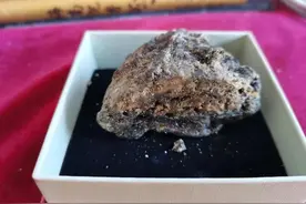 珍贵名品“龙涎香”欣赏图片