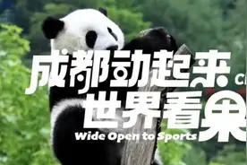 花花+大运会，承包了我今天所有笑点！图片