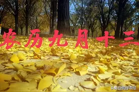 俗语“重阳无雨看十三，十三无雨一冬干”啥意思？有啥说法图片