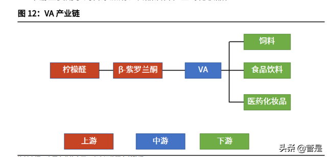 新和成研究报告：从维生素龙头逐渐成长为精细化工龙头