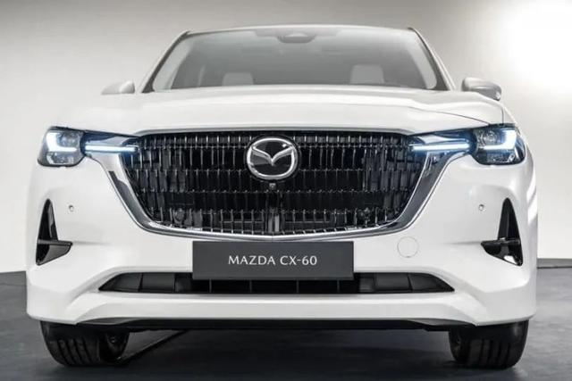 6ף2022ԴﻹȼͳȫCX-60