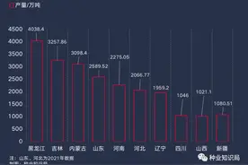 中国玉米种业浮沉录图片