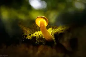 炒股十三年，我走过的弯路（六）图片