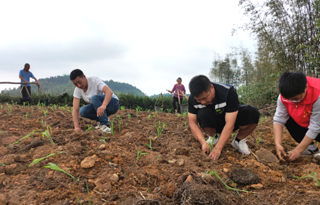 四川省民生研究会新媒体中心-官网