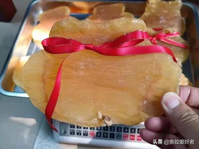 红鸡赤嘴鱼胶怎么辨别 2026年红鸡赤嘴鱼胶怎么辨别好坏