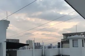 母女遭4条狗围攻 妈妈被咬至失血休克 ! 狗主人叫嚣：有本事你告我啊图片