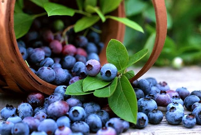 四十岁女人怎么保养能有效抗衰老 四十岁的女人如何保养可以延缓衰老