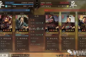三国志战略版：非主流队伍，乐进玩盾兵，稳定20000伤害图片