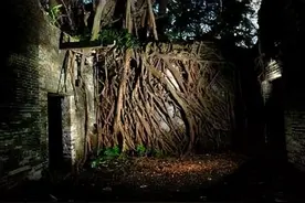 中国最恐怖的无人村，开平无人村荒废20年不见天日(邓边村)图片