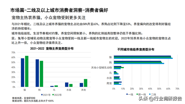 2022���й�������ҵ��չ���棨�����ߡ������ŵꡢ�г�����