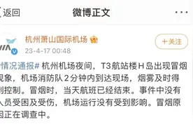 杭州萧山国际机场通报T3航站楼突冒黑烟：机场运行未受影响，原因正调查图片