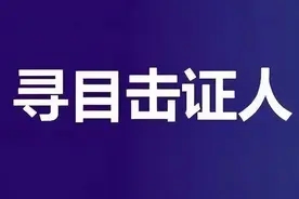 延吉市交警大队发布寻找目击证人启事图片