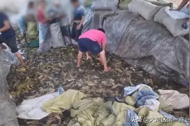 老坛酸菜面遭“封杀”？14年前代言人被爆破，千亿公司难逃侵扰图片