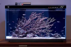 小米米家智能鱼缸正式开售：399元图片