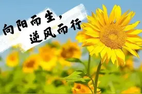 向阳而生，逐光而行，心有暖阳，不惧沧桑图片